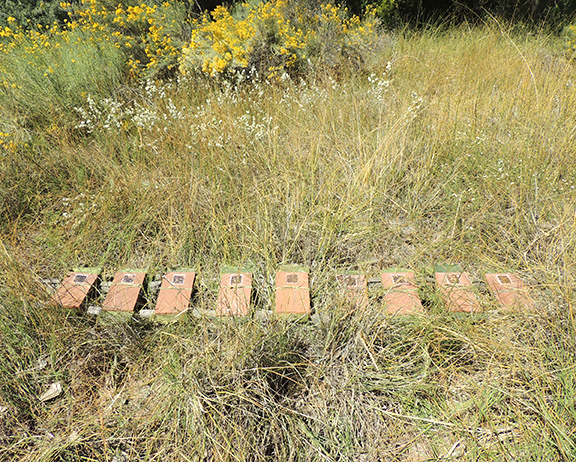 grass books installation